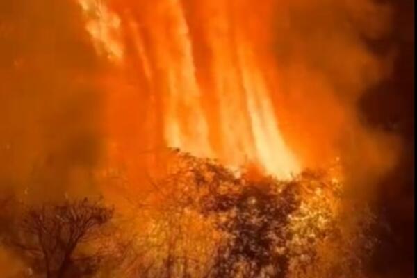 BROJ ŽRTAVA RASTE IZ SATA U SAT Šumski požari u Čileu ne jenjavaju!