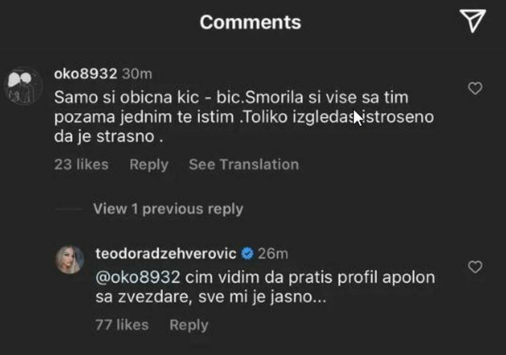 Iako dugo nije komentarisala Anđela Rankovića, sa kojim je bila u vezi, Teodora Džehverović je naprasno prekinula tišinu, pa ga javno potkačila na svom Instagram profilu
