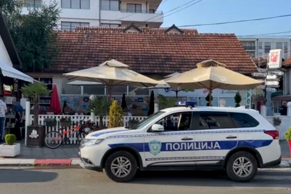 VELIKA AKCIJA POLICIJE: Srbi pali zbog 100 teških krađa!