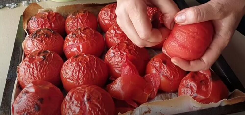 Guljenje paradajza