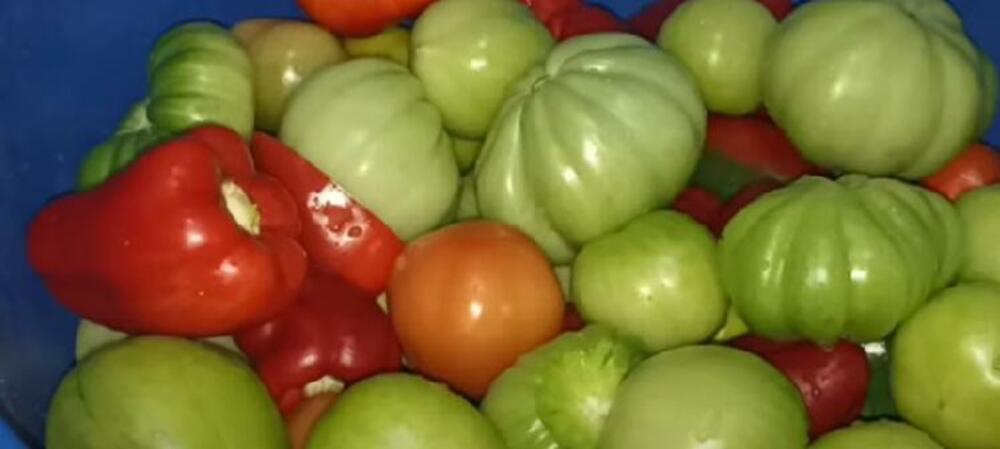 Zeleni paradajz i paprike u činiji