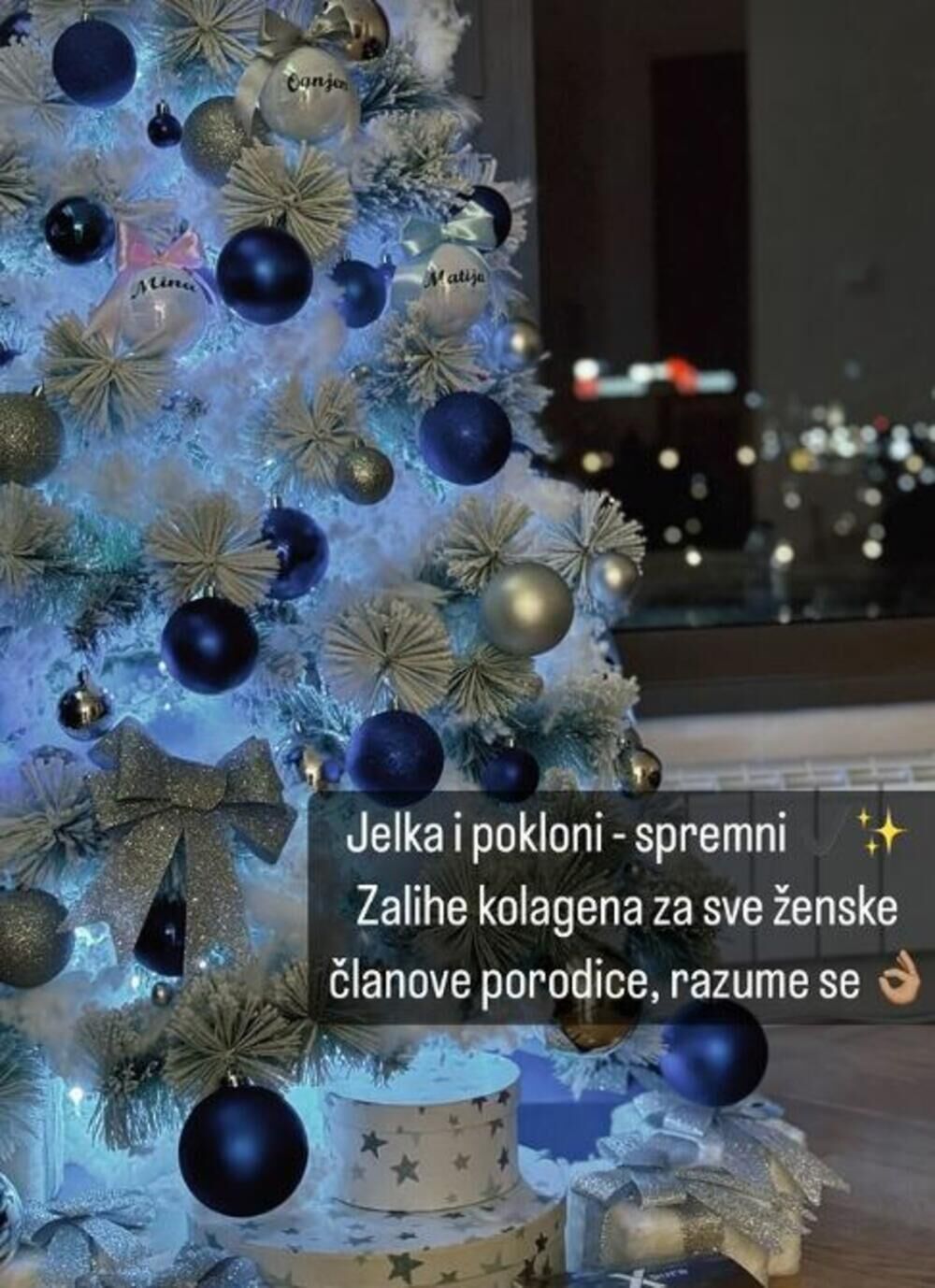 Novogodišnje drvo su pored srebrno plavih ukrasa krasile i loptice sa imenima članova porodice
