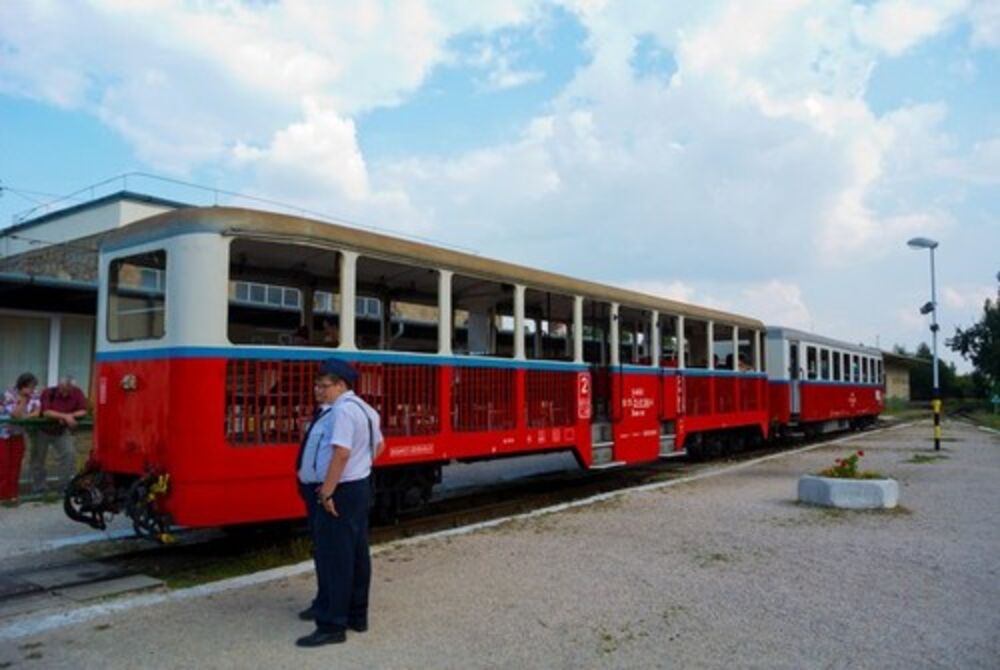 Mađarski voz