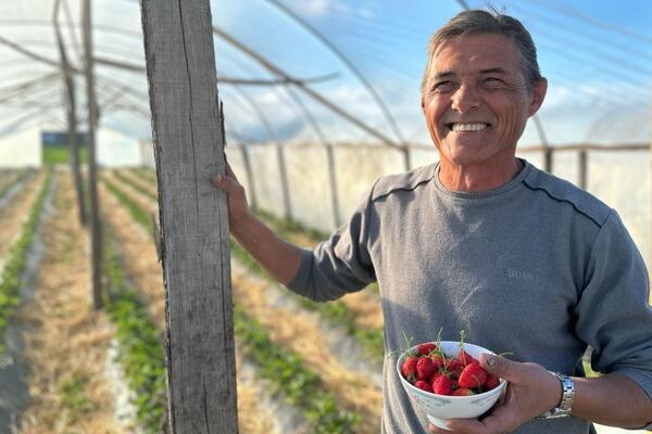 PUT NA SVETU GORU SVE PROMENIO: Milovan iz grada došao na selo, već u aprilu počeo da bere plodove svog rada (FOTO)