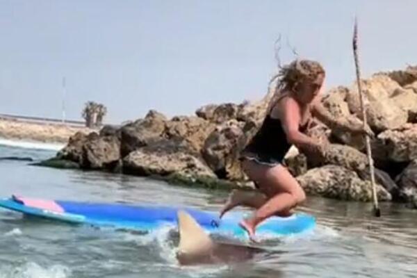 ŽENU AJKULA GURNULA U VODU S DASKE ZA SURF: Zanemela od straha kad je shvatila šta se dešava (FOTO)